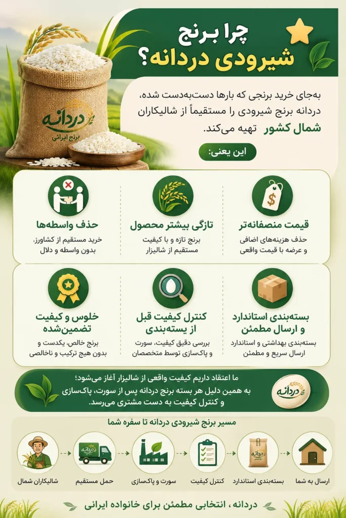 برنج شیرودی دردانه - برنج شیرودی 10 کیلویی