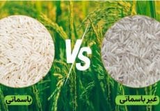 blog 768x432 1 - برنج باسماتی، غیرباسماتی و ایرانی؛ کدام بهتر است؟