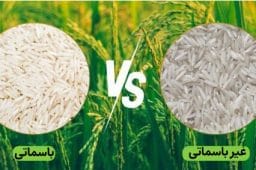 blog 768x432 1 - برنج باسماتی، غیرباسماتی و ایرانی؛ کدام بهتر است؟