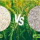 blog 768x432 1 - برنج باسماتی، غیرباسماتی و ایرانی؛ کدام بهتر است؟