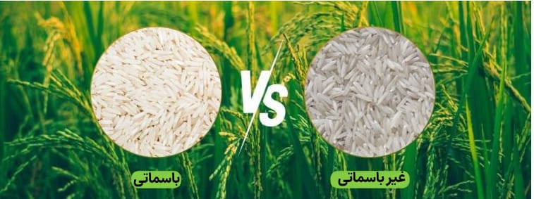 blog 768x432 1 - برنج باسماتی، غیرباسماتی و ایرانی؛ کدام بهتر است؟