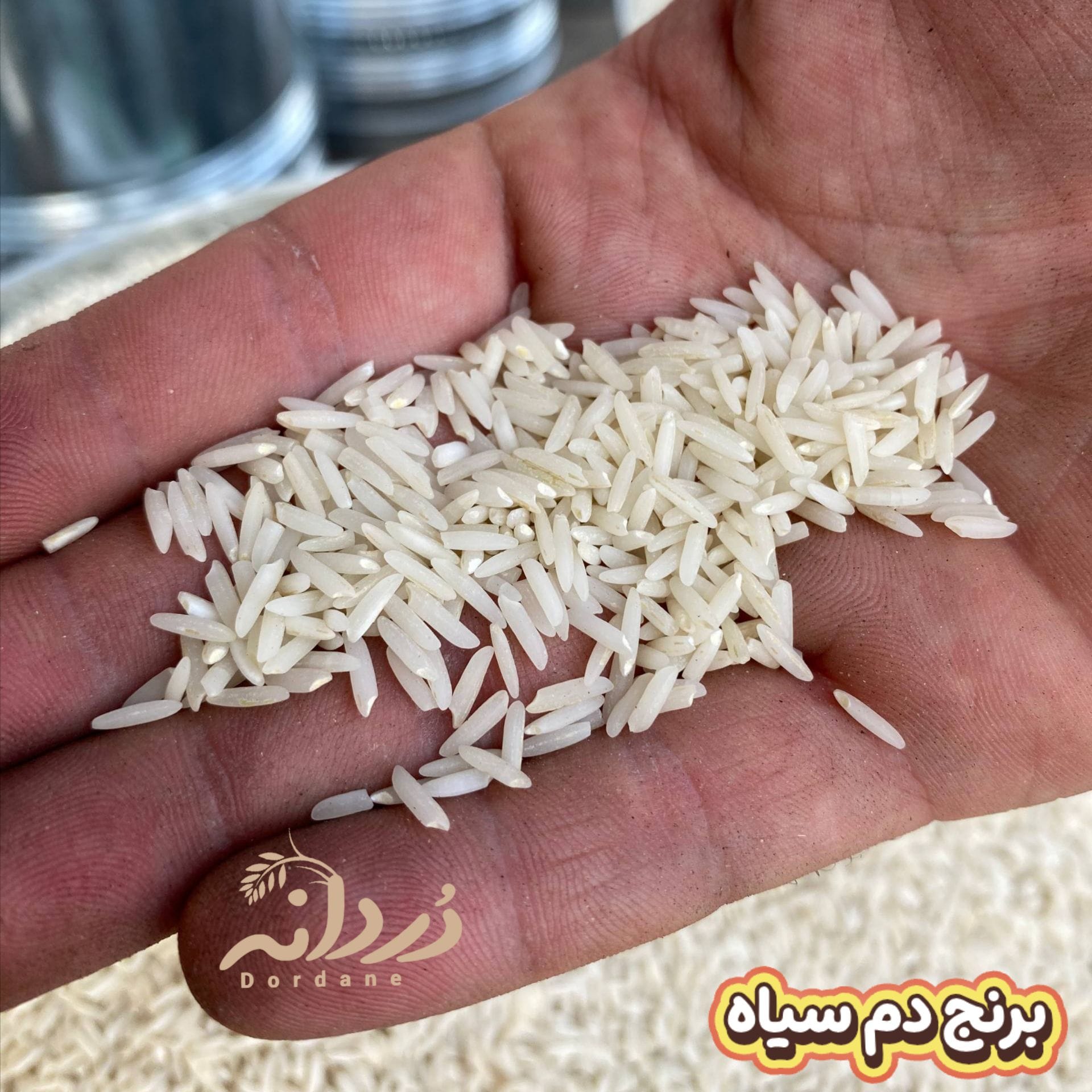 برنج دم سیاه 10 کیلویی