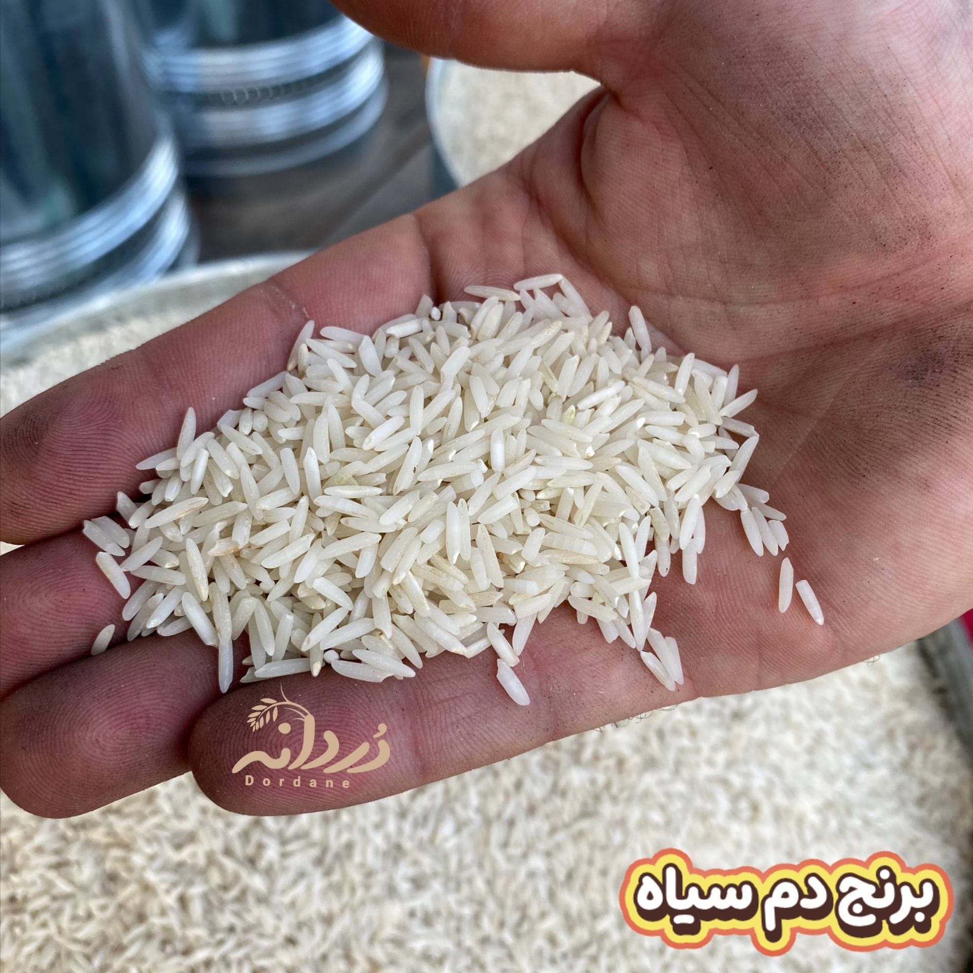 برنج دم سیاه 10 کیلویی