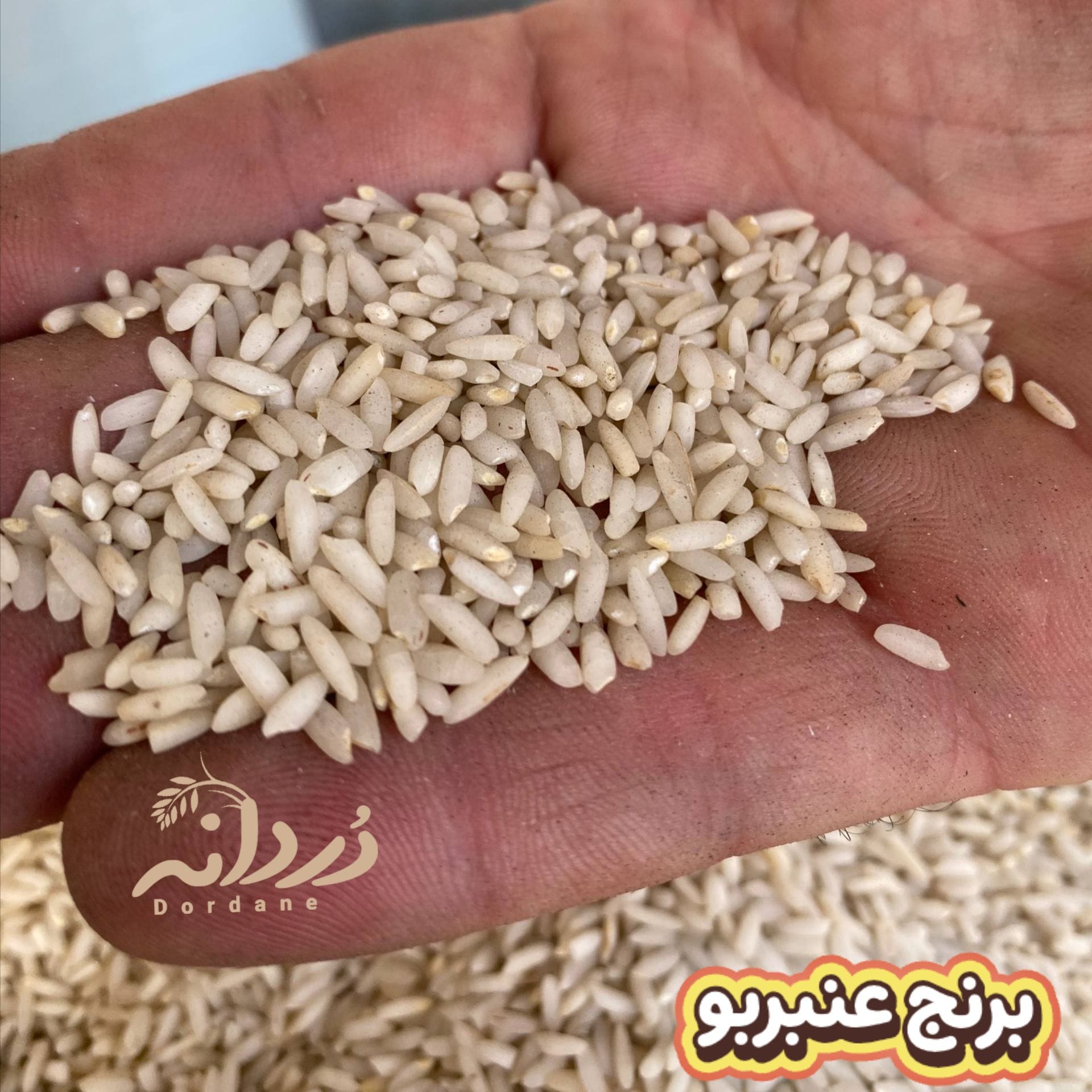 برنج  عنبربو 50 کیلویی