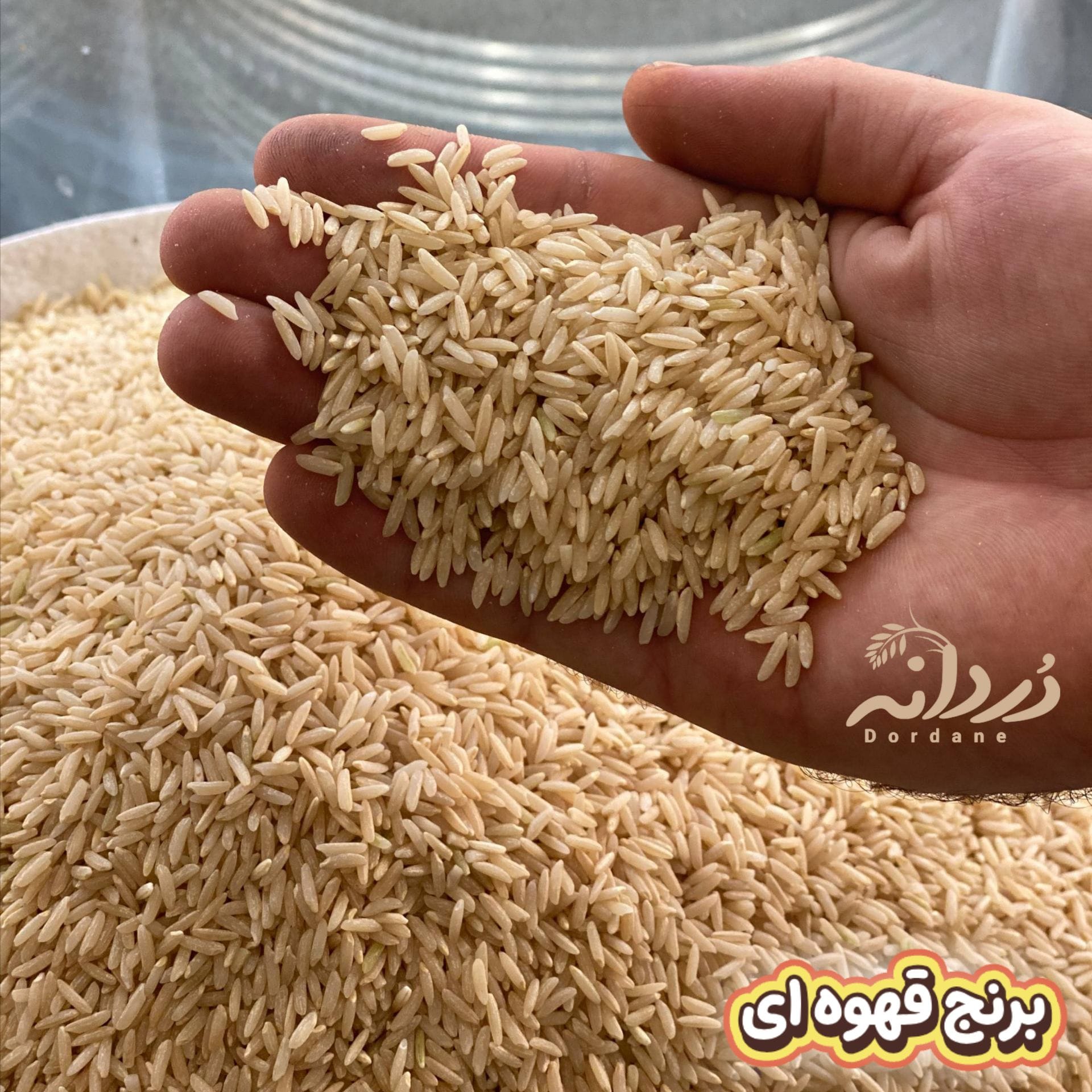 برنج قهوای هاشمی 10 کیلویی