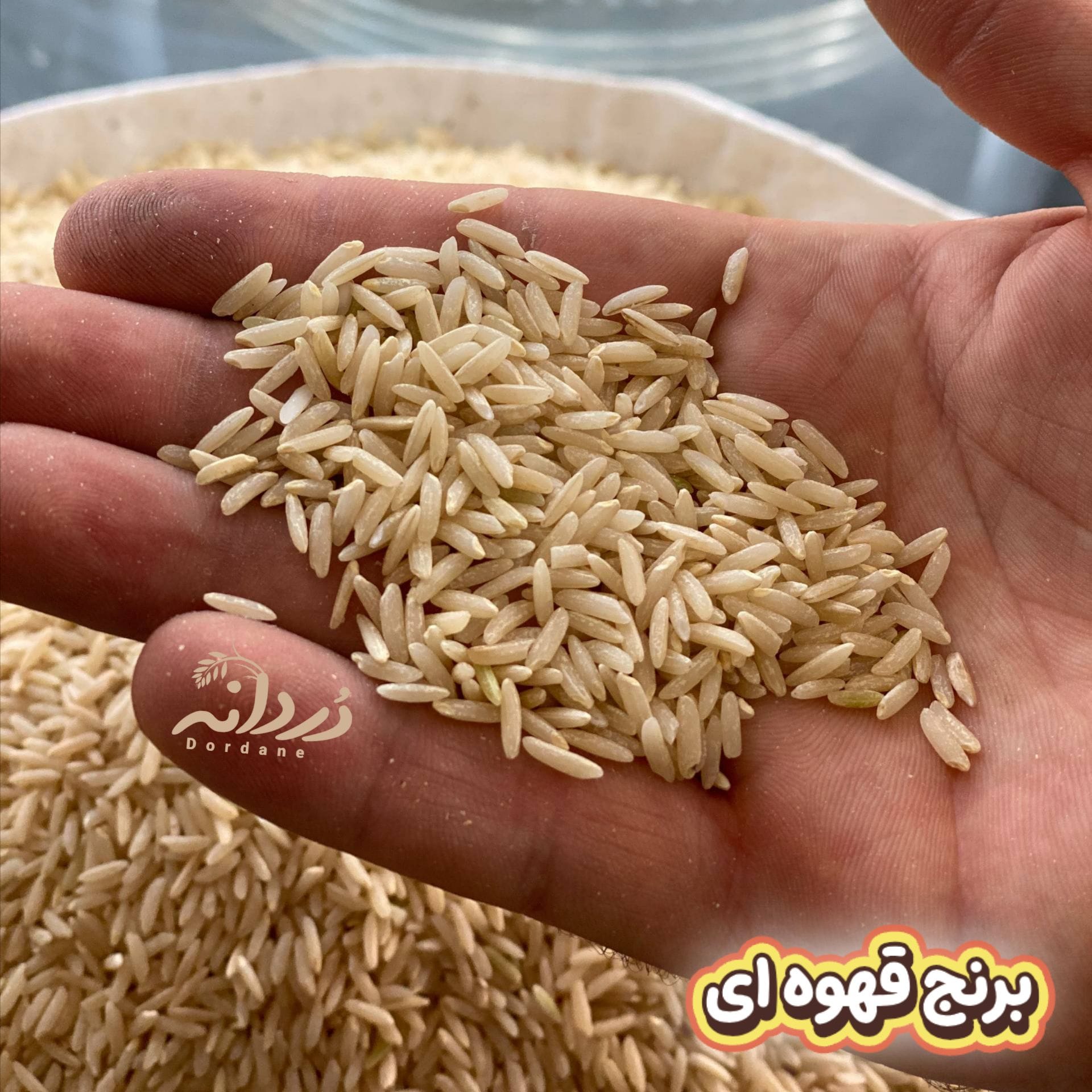 برنج قهوای هاشمی 10 کیلویی