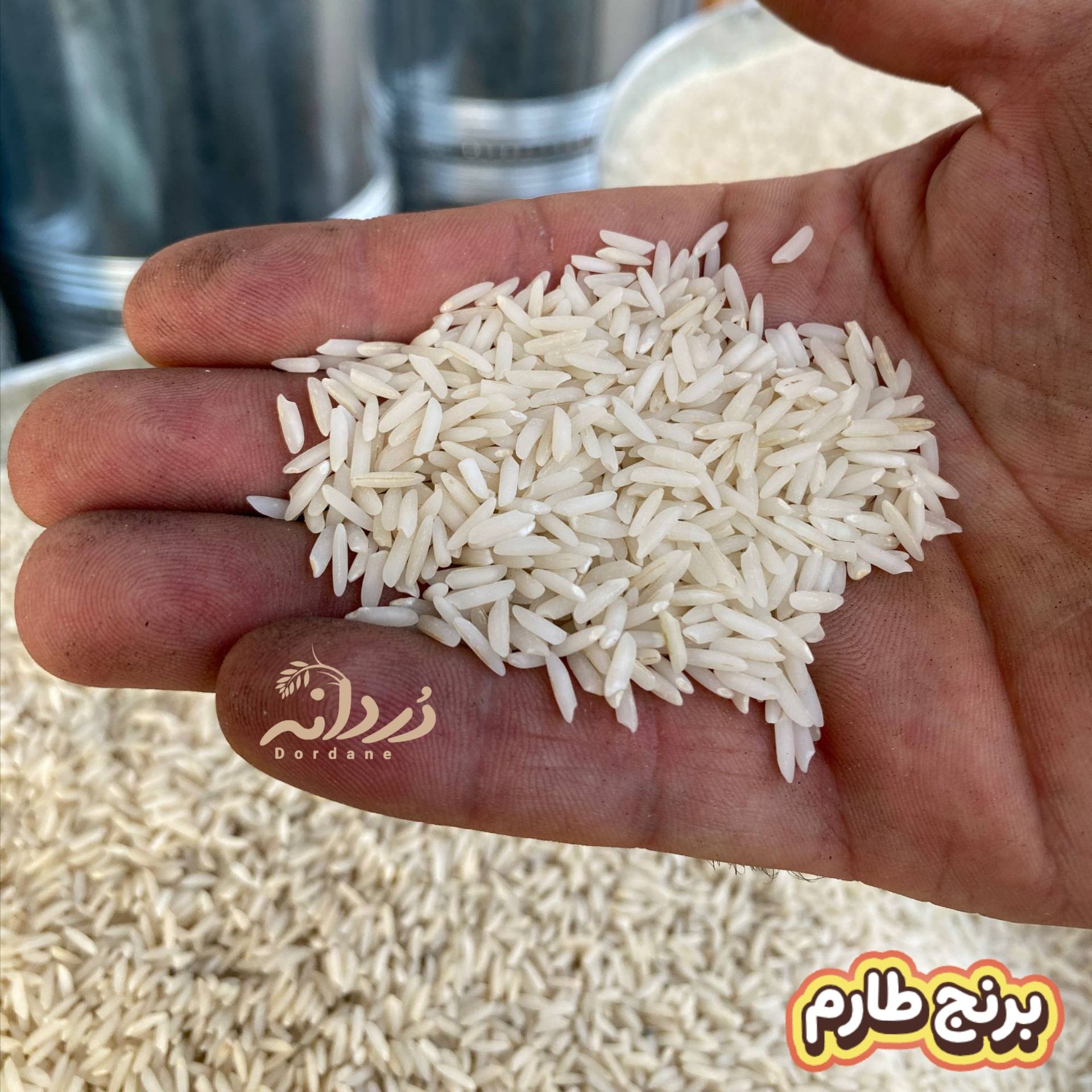 برنج طارم 5 کیلویی