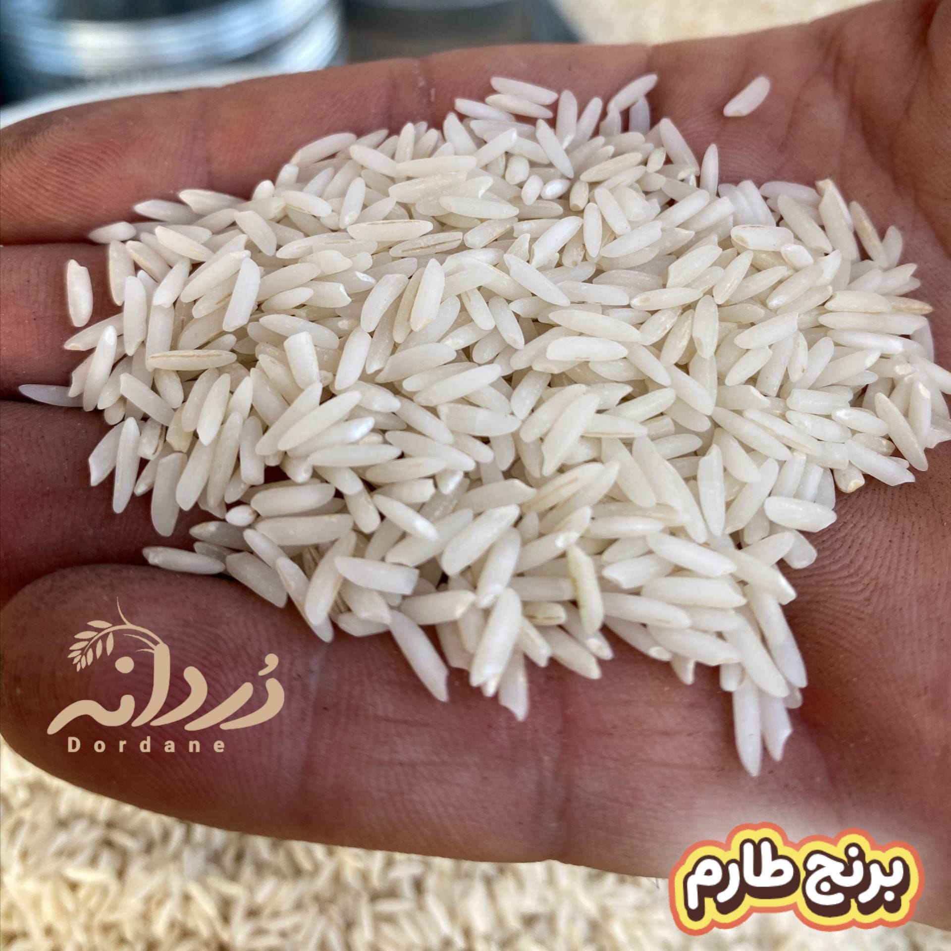 برنج طارم 5 کیلویی