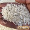 برنج شیرودی