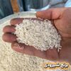 برنج شیرودی