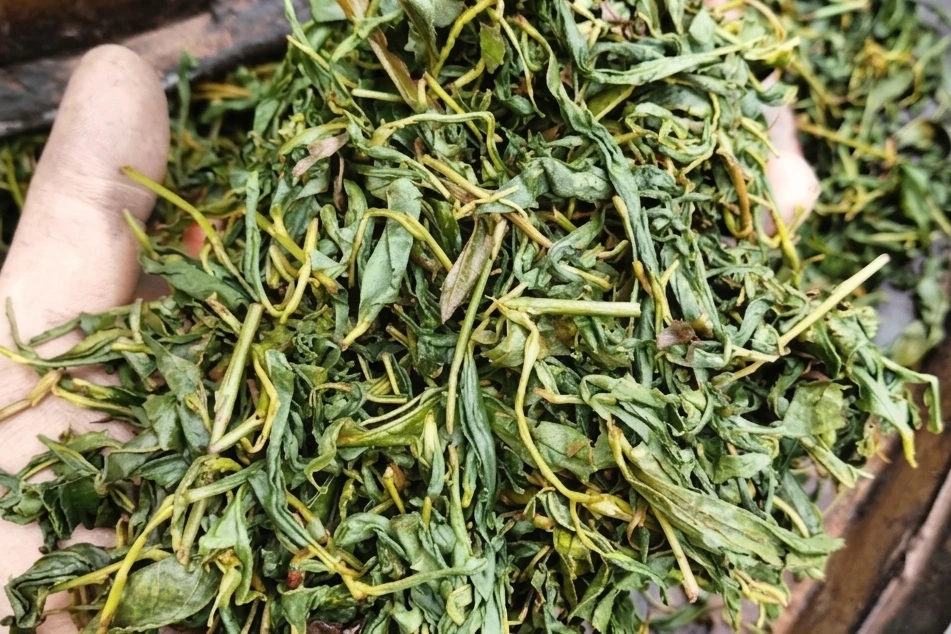 چای دستی مالش خورده - چای دستی درفک – دردانه