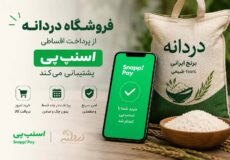 baner snap pay - خرید اقساطی برنج و چای در فروشگاه دردانه