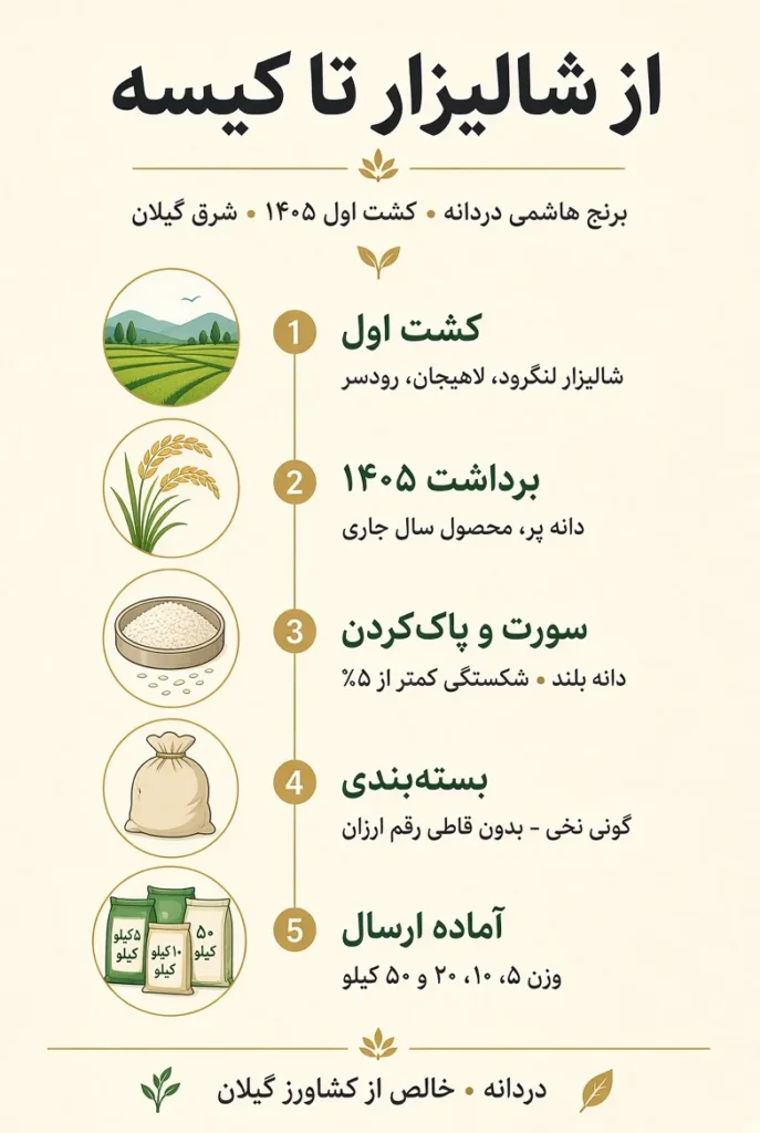 برنج هاشمی 4 hashemi info - برنج هاشمی