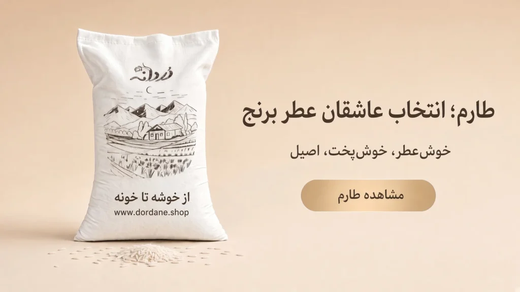 مقایسه برنج هاشمی، طارم و جمشید؛ تفاوت در عطر، پخت، ظاهر و قیمت 2 برنج طارم